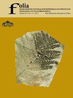 cover issue 13 en US